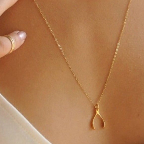 Dainty Silver Wishbone Necklace - Picture 3 of 7